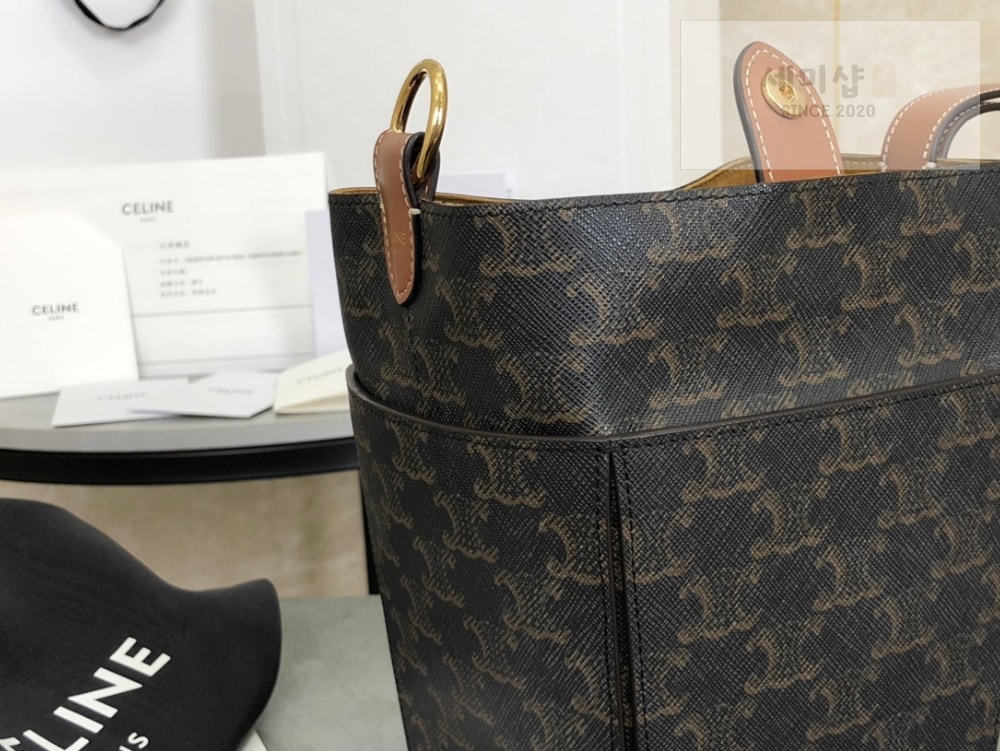 C E L I N E Celine Strap Box Triomphe Canvas and Calfskin Bag 6번 이미지