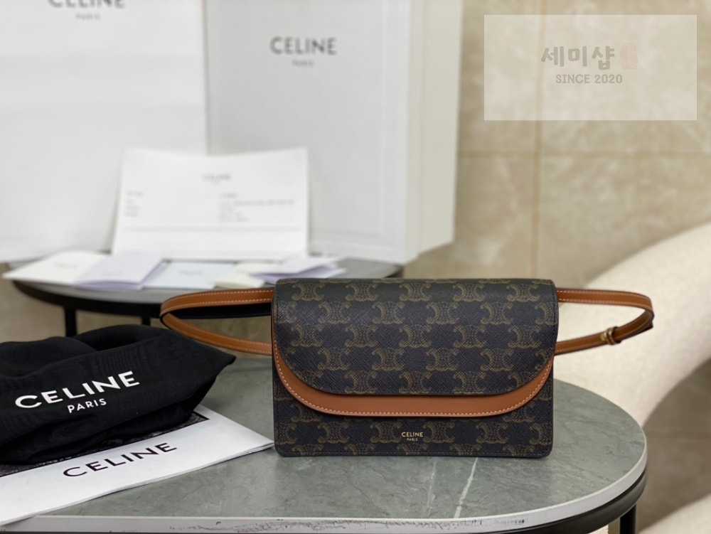 C E L I N E Celine Wallet on strap in Triomphe Canvas Bag 1번 이미지