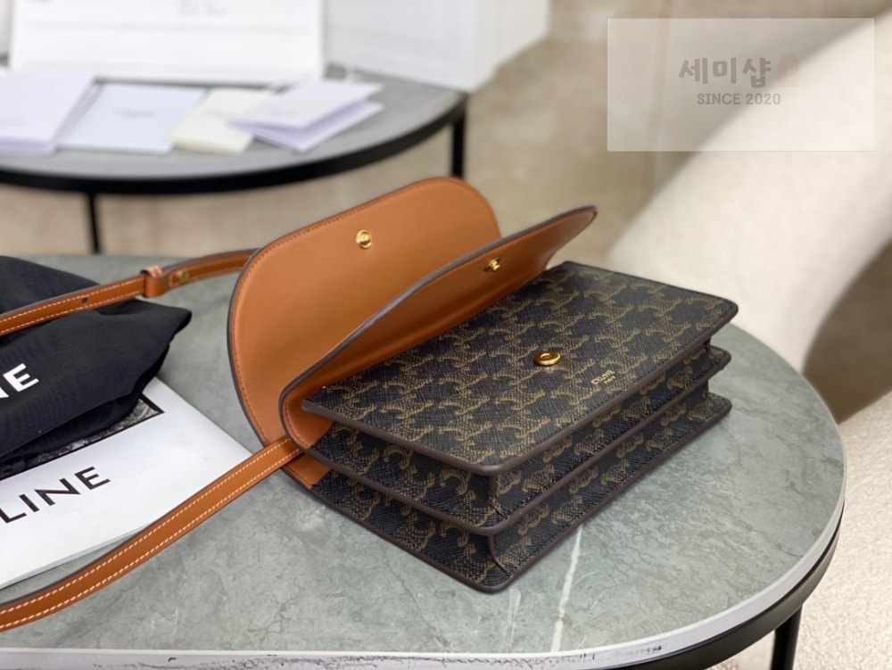 C E L I N E Celine Wallet on strap in Triomphe Canvas Bag 3번 이미지