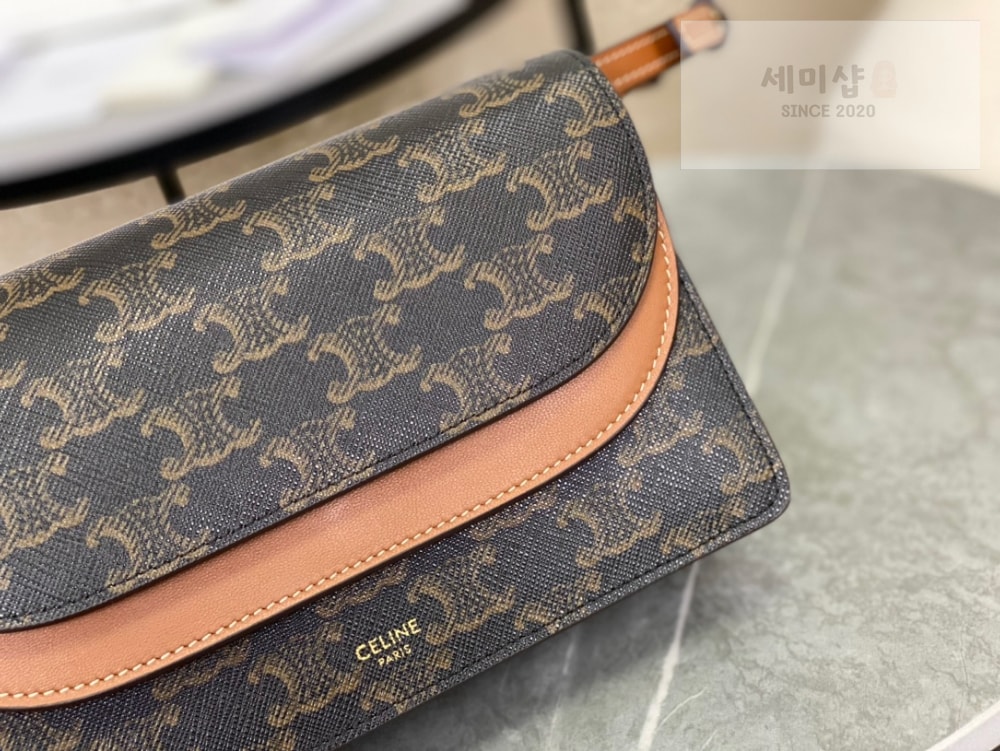 C E L I N E Celine Wallet on strap in Triomphe Canvas Bag 4번 이미지