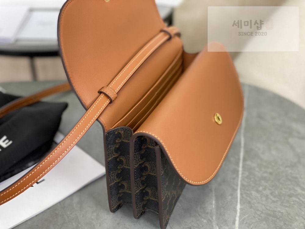C E L I N E Celine Wallet on strap in Triomphe Canvas Bag 6번 이미지