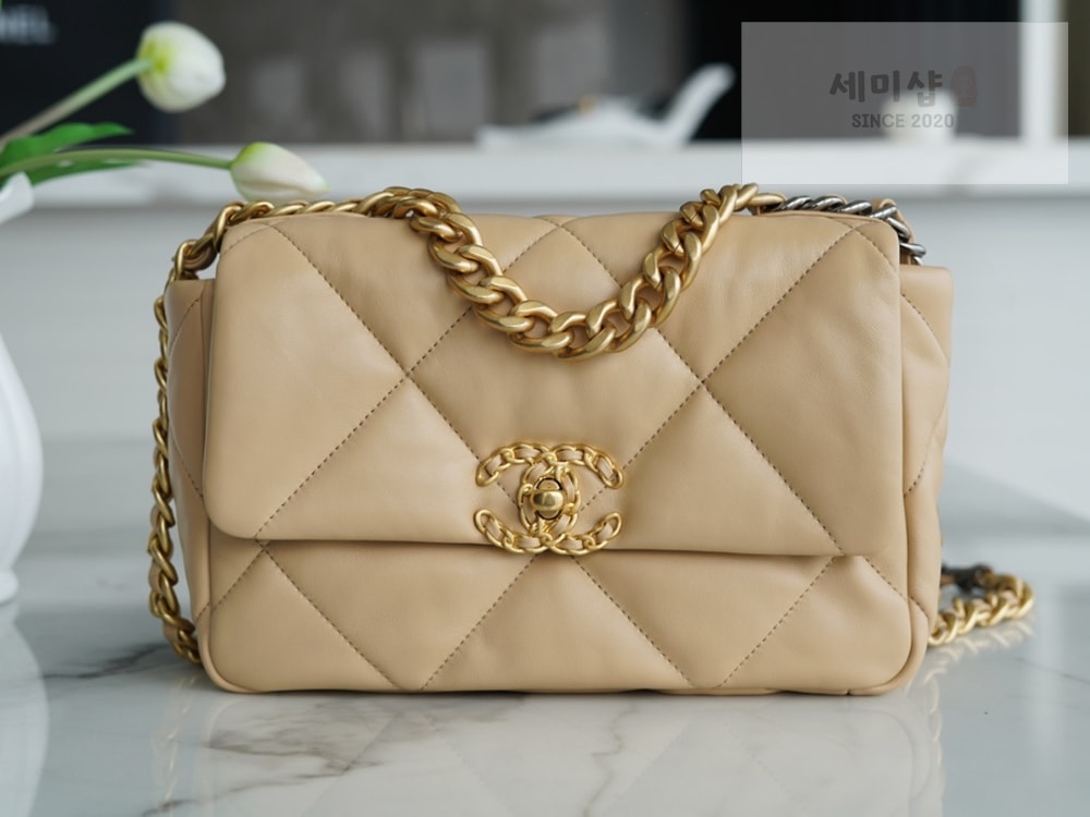 C H A N E L Chanel 19 Medium 베이지 Bag 1번 이미지