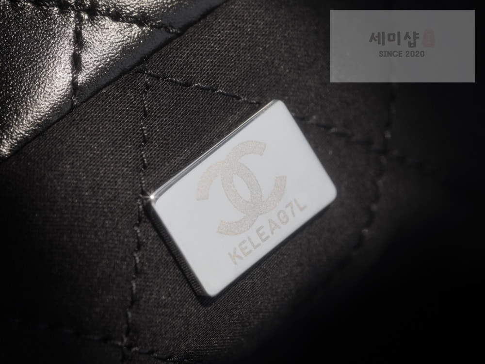 C H A N E L Chanel 22 Medium 블랙 Bag 6번 이미지