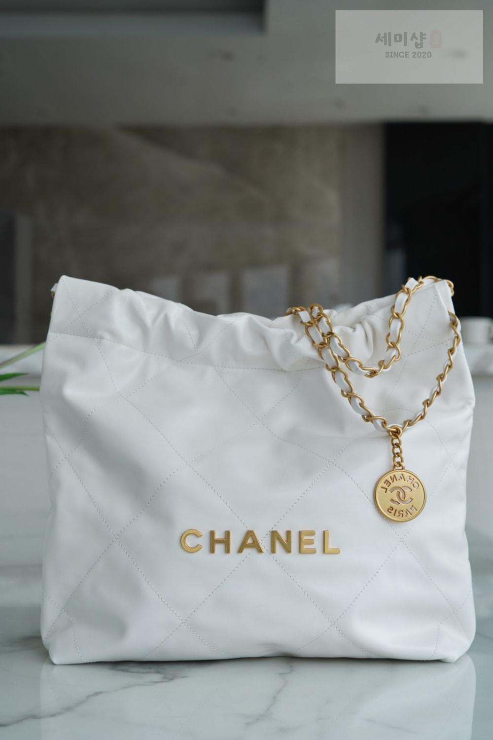 C H A N E L Chanel 22 Small 화이트 Bag 1번 이미지