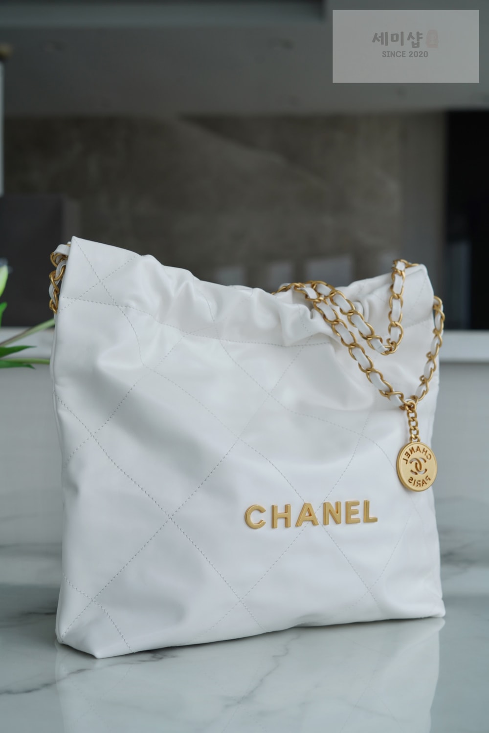 C H A N E L Chanel 22 Small 화이트 Bag 3번 이미지