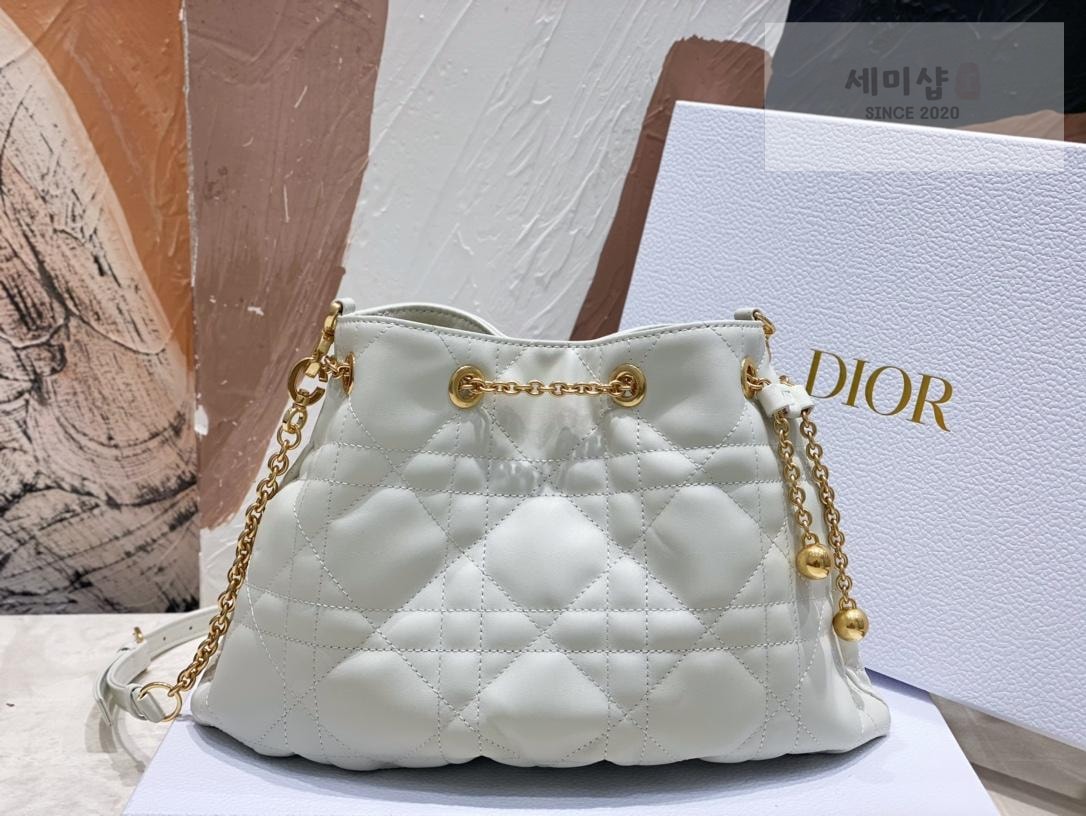 D I O R Dior Ammi Medium Bag 1번 이미지