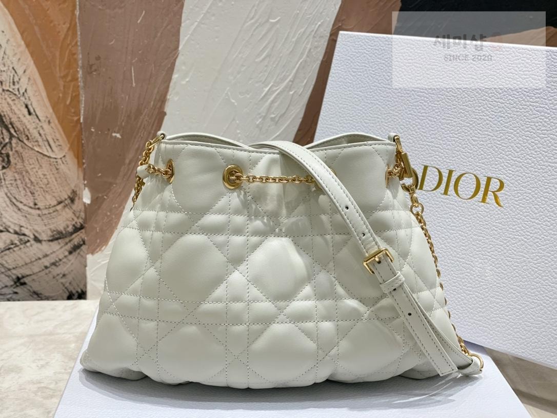 D I O R Dior Ammi Medium Bag 26번 이미지