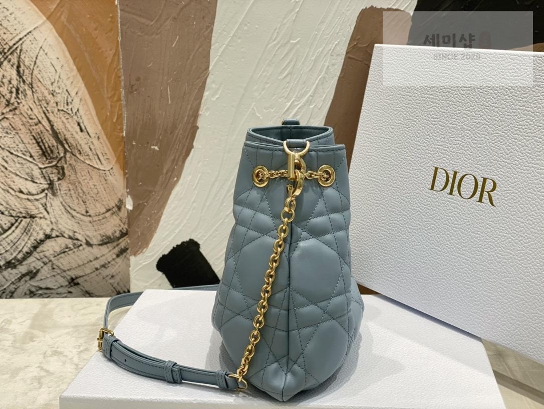 D I O R Dior Ammi Medium Bag 6번 이미지