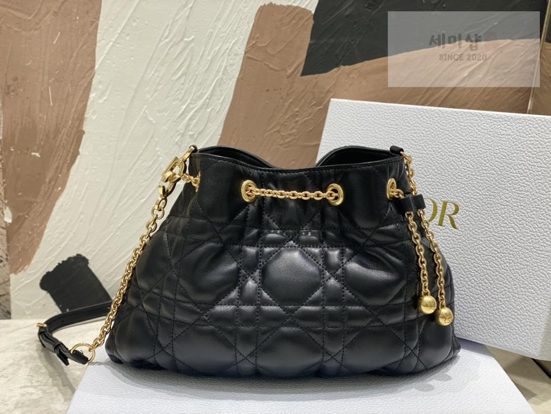 D I O R Dior Ammi Medium Bag 10번 이미지