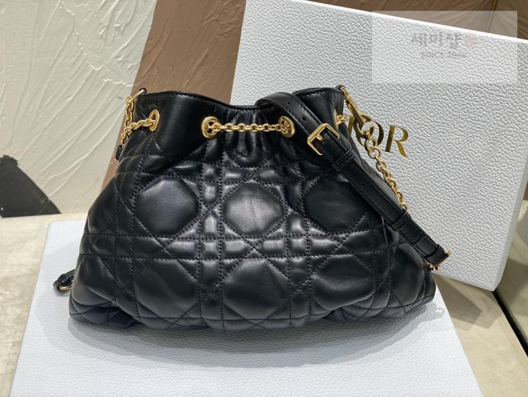 D I O R Dior Ammi Medium Bag 11번 이미지