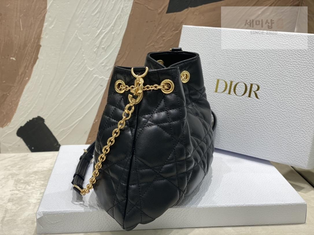 D I O R Dior Ammi Medium Bag 12번 이미지