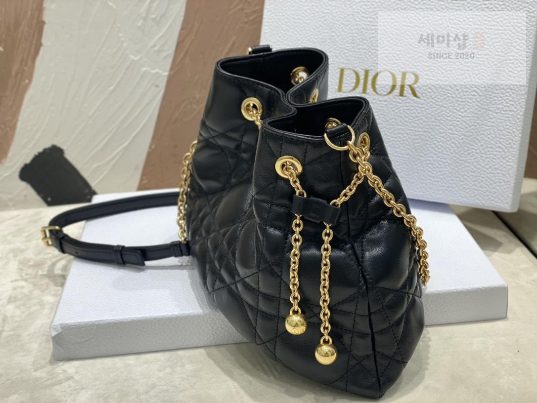 D I O R Dior Ammi Medium Bag 14번 이미지