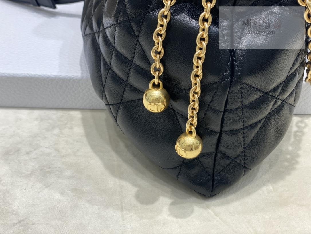D I O R Dior Ammi Medium Bag 15번 이미지
