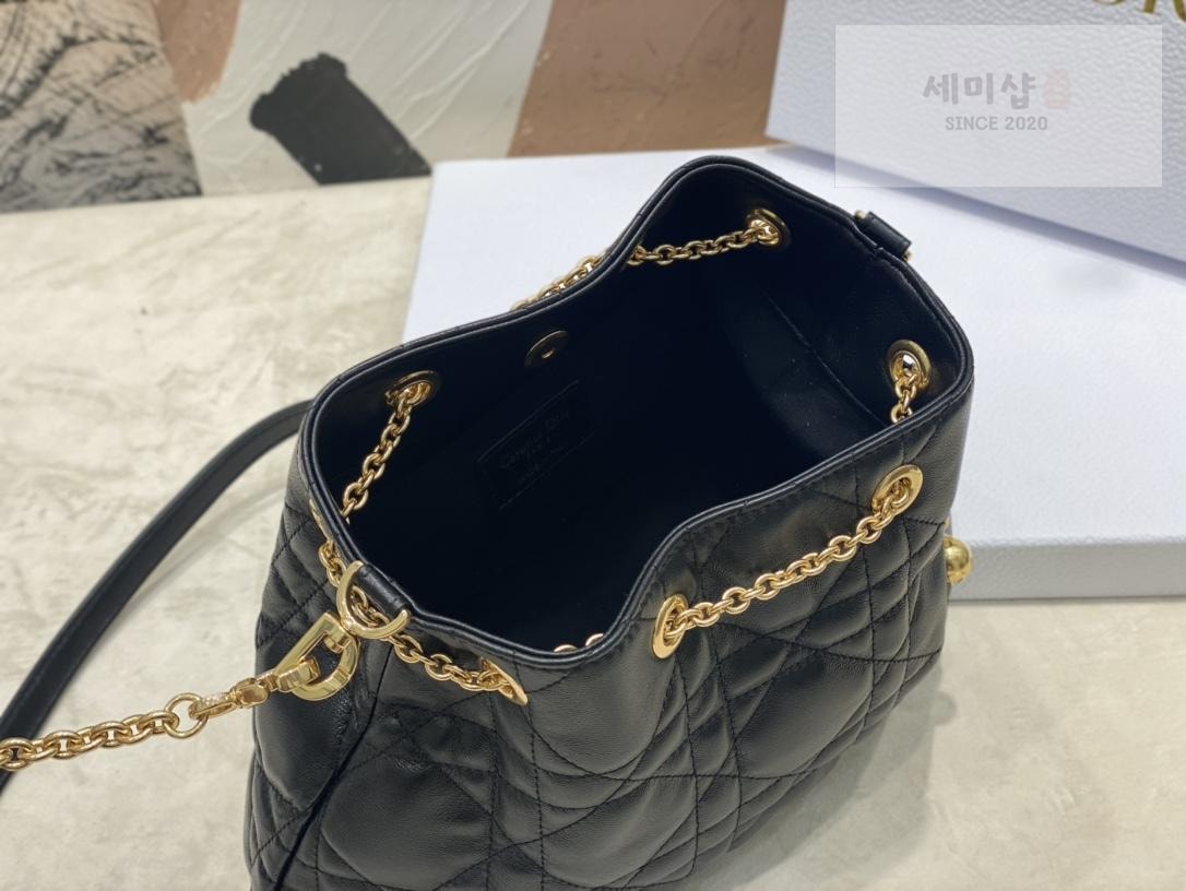 D I O R Dior Ammi Medium Bag 17번 이미지