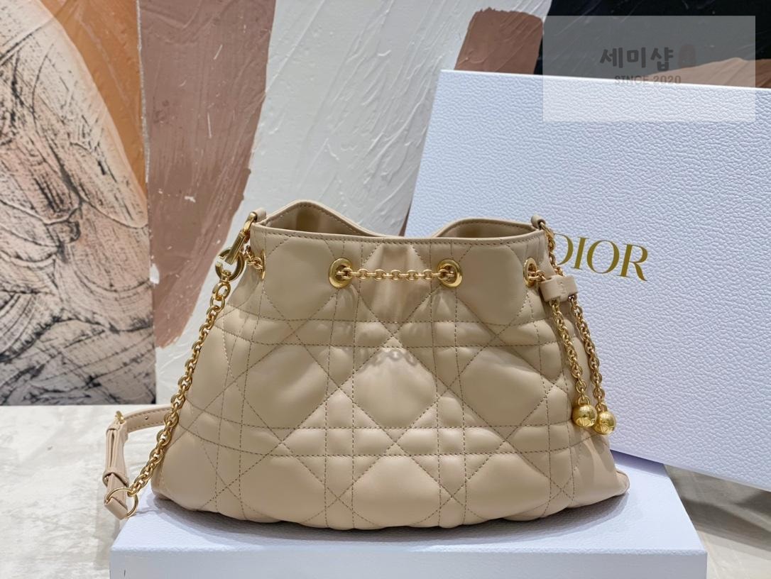 D I O R Dior Ammi Medium Bag 19번 이미지