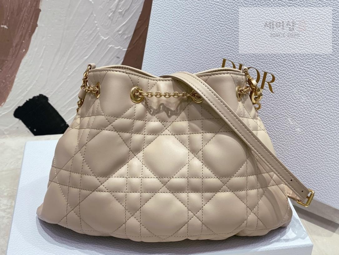 D I O R Dior Ammi Medium Bag 20번 이미지