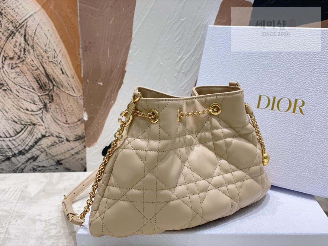 D I O R Dior Ammi Medium Bag 21번 이미지