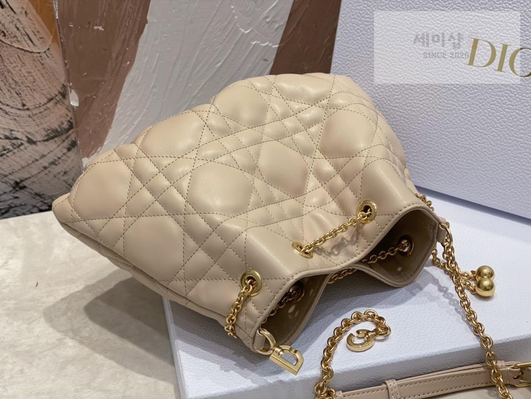 D I O R Dior Ammi Medium Bag 22번 이미지