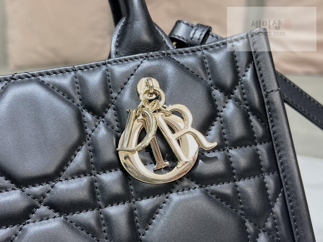 D I O R Dior Book Tote Cross Leather Bag 21번 이미지