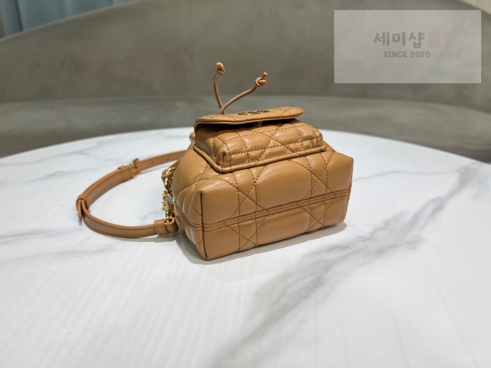 D I O R Dior Caro Nano Bucket Bag 3번 이미지