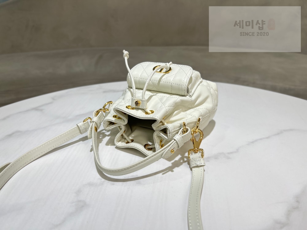 D I O R Dior Caro Nano Bucket Bag 4번 이미지