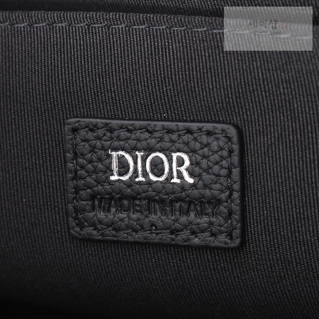 D I O R Dior East-West Tote Bag 14번 이미지