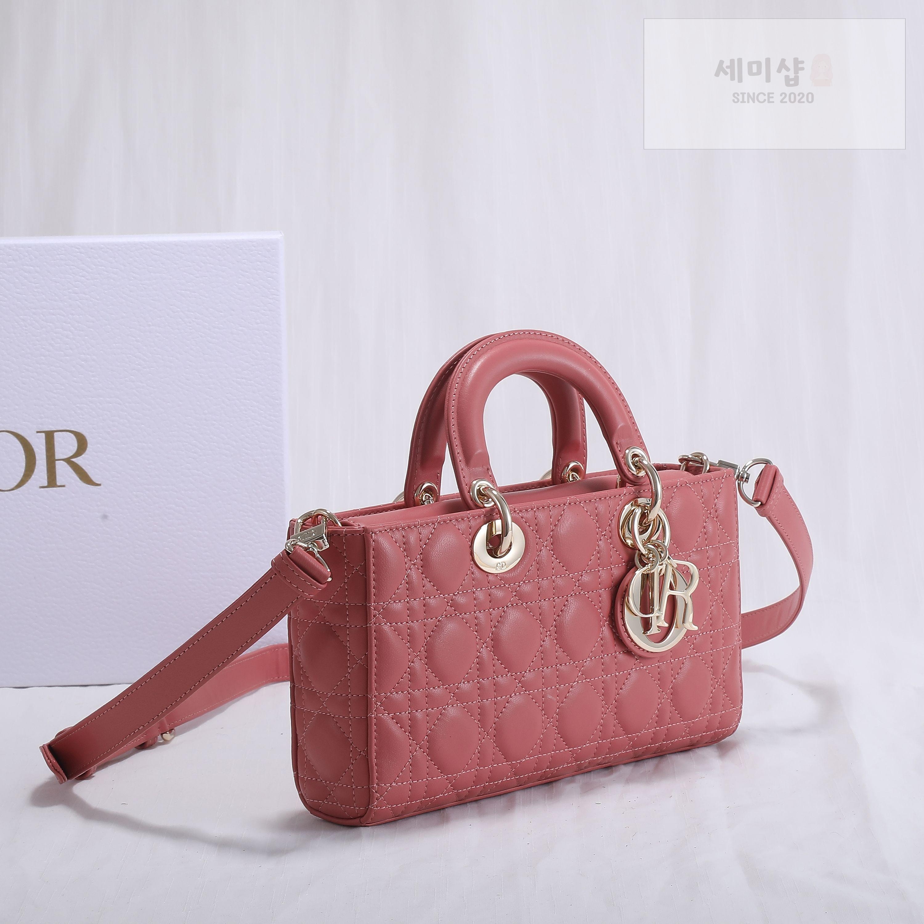 D I O R Dior Lady D-Joy Medium Bag 17번 이미지