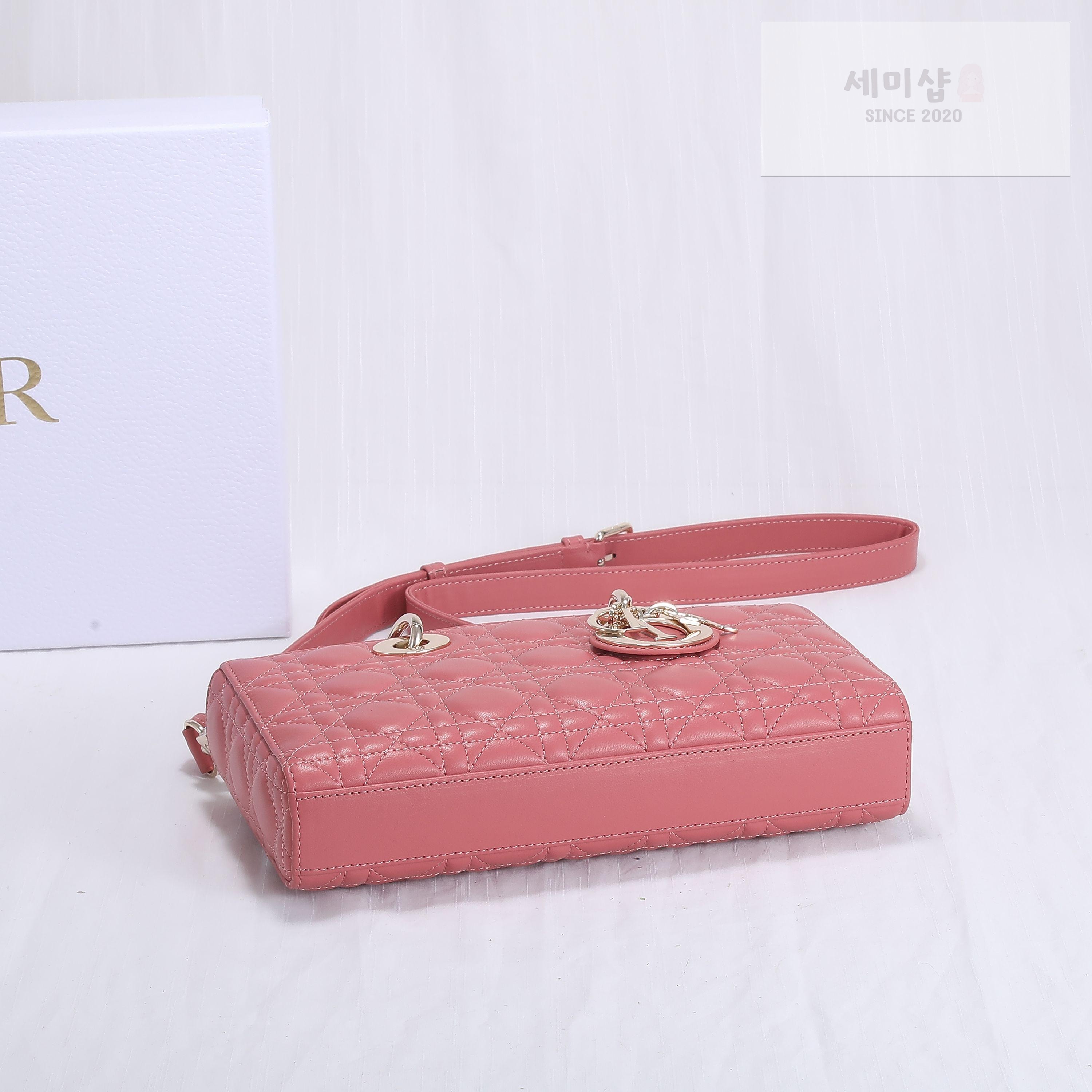 D I O R Dior Lady D-Joy Medium Bag 18번 이미지