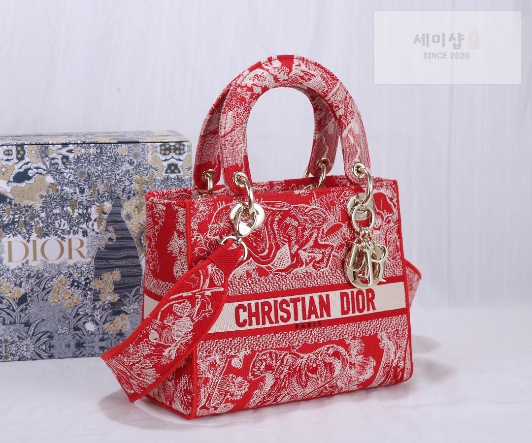 D I O R Dior Lady D-Lite Medium Bag 31번 이미지