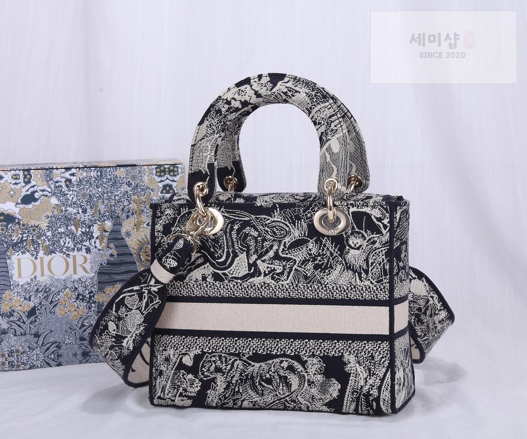 D I O R Dior Lady D-Lite Medium Bag 17번 이미지
