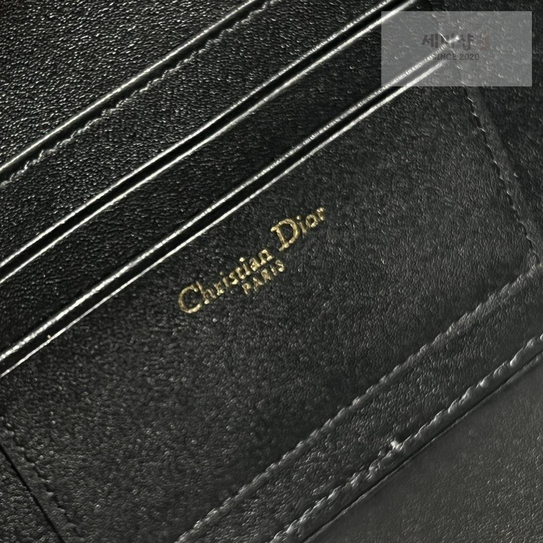 D I O R Dior Signature Oval Camera Bag 6번 이미지