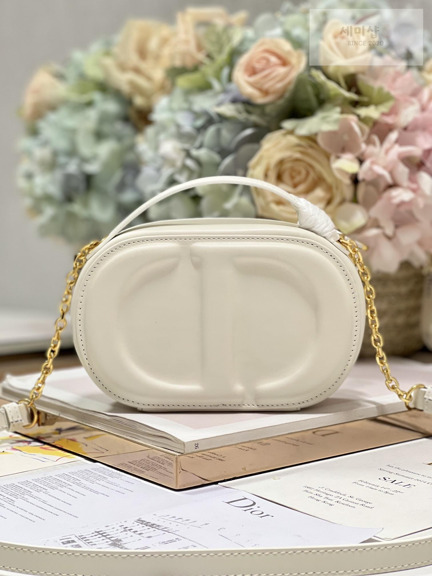 D I O R Dior Signature Oval Camera Bag 7번 이미지