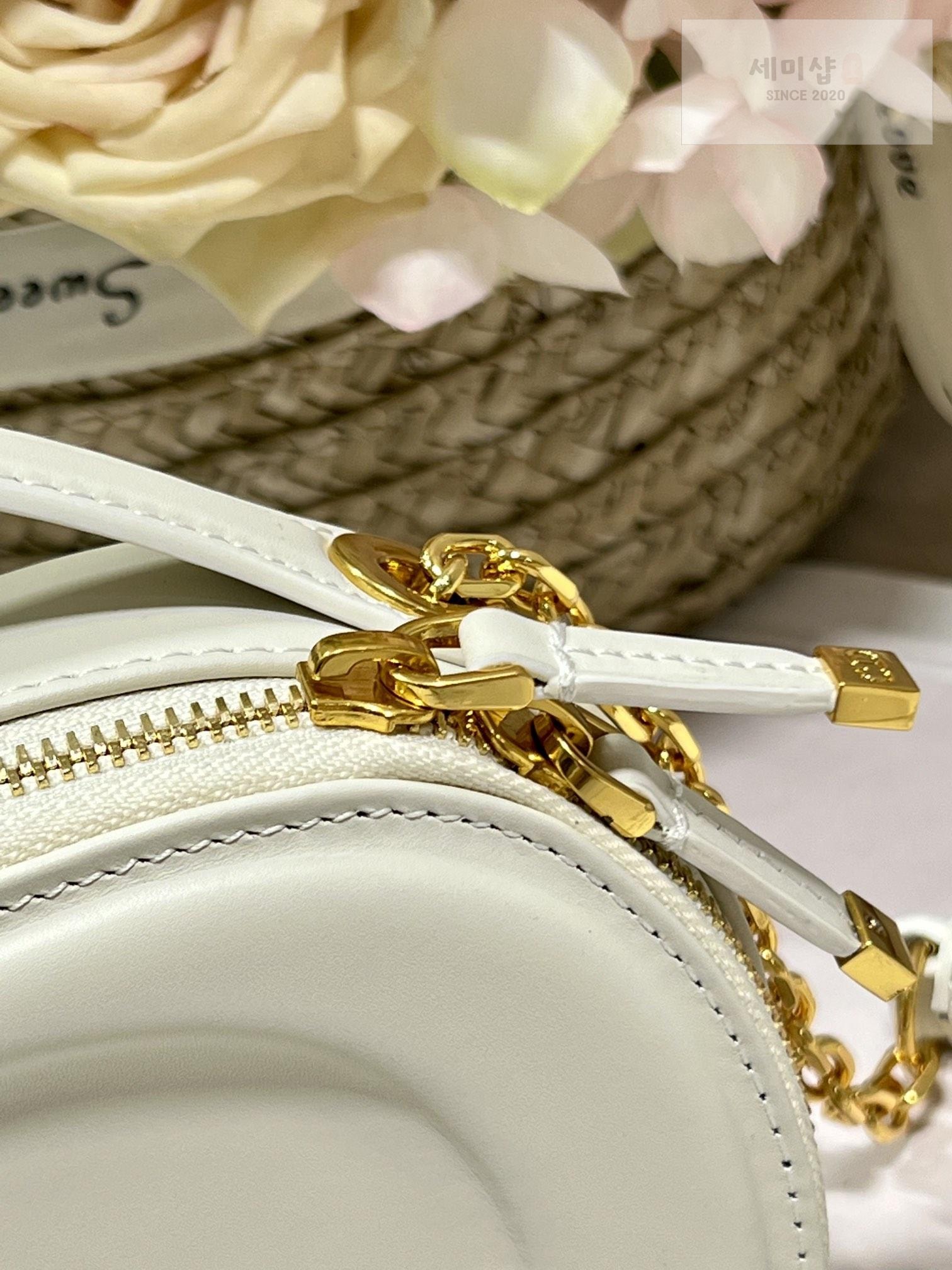 D I O R Dior Signature Oval Camera Bag 12번 이미지