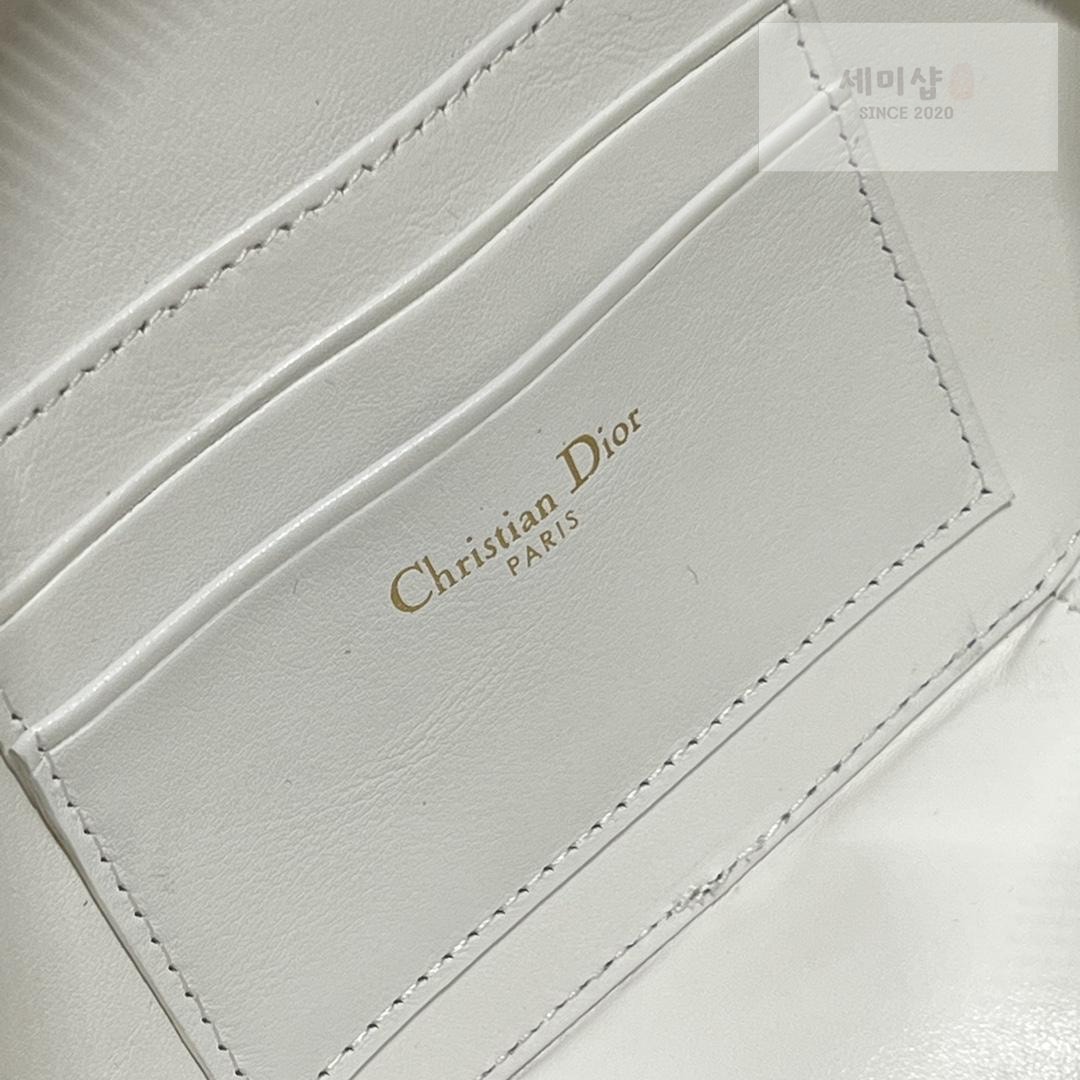 D I O R Dior Signature Oval Camera Bag 14번 이미지