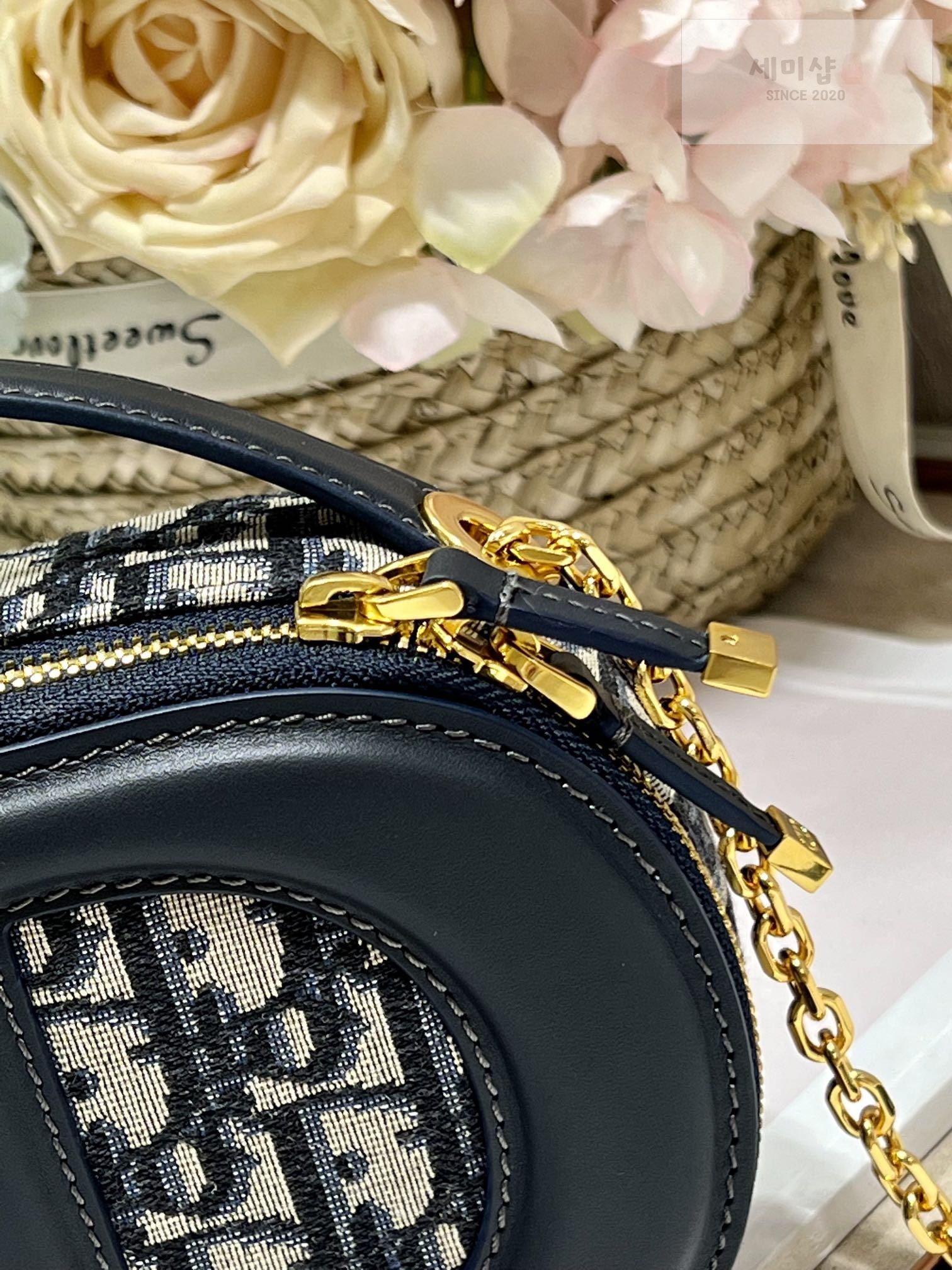 D I O R Dior Signature Oval Camera Bag 19번 이미지