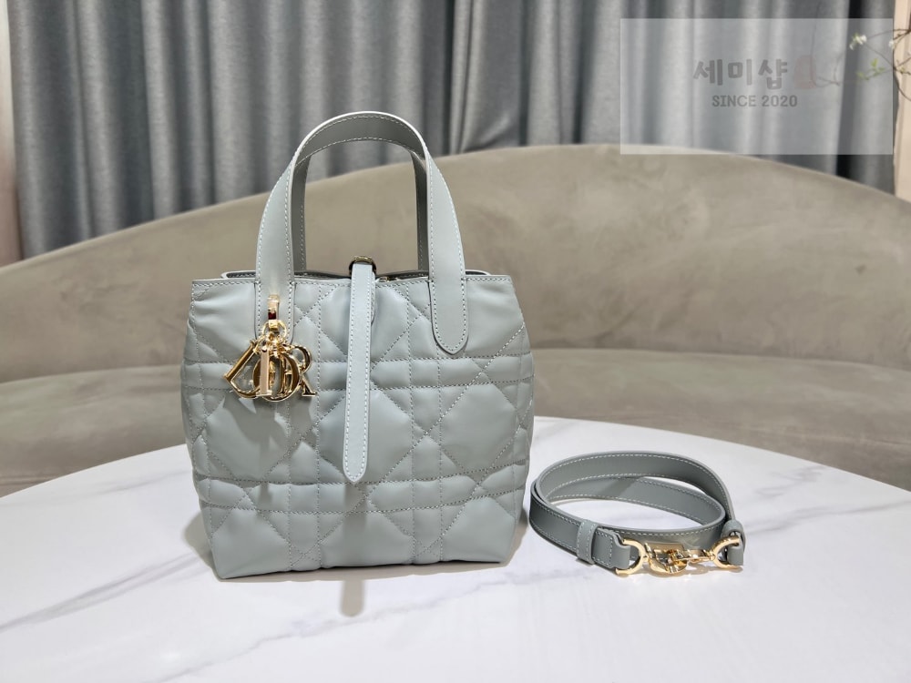 D I O R Dior Toujours Vertical Small Bag 1번 이미지