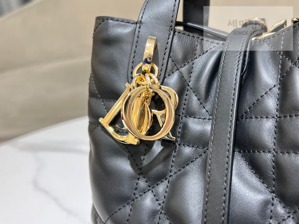 D I O R Dior Toujours Vertical Small Bag 27번 이미지