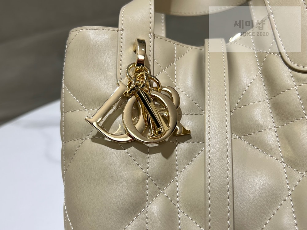 D I O R Dior Toujours Vertical Small Bag 33번 이미지