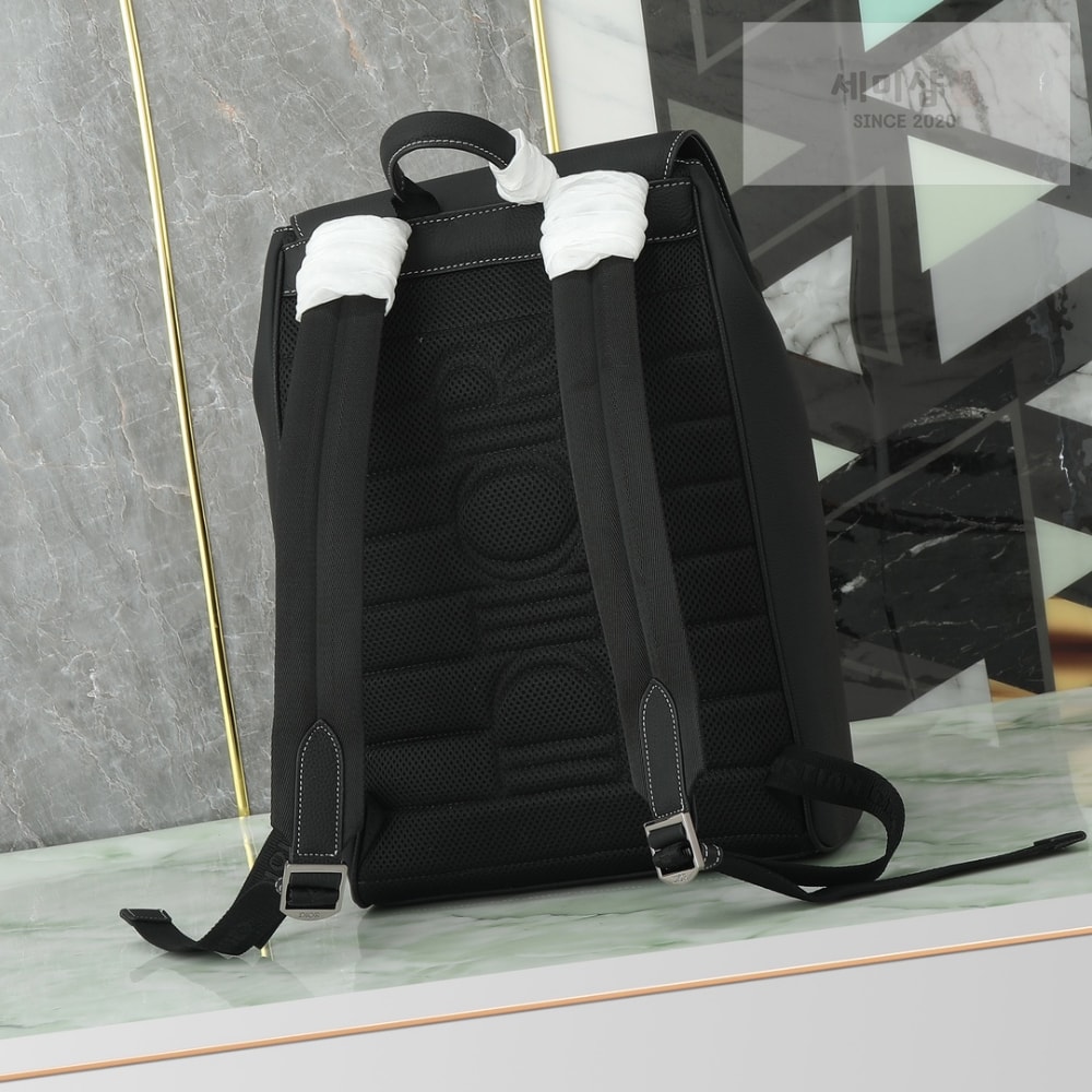 D I O R Saddle Backpack With Flap Bag 1번 이미지