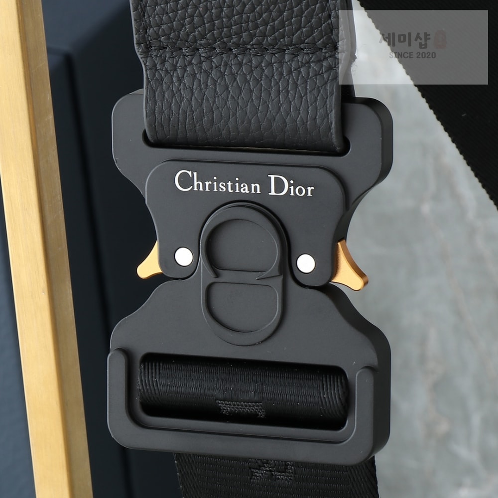 D I O R Saddle Bag Bag 5번 이미지