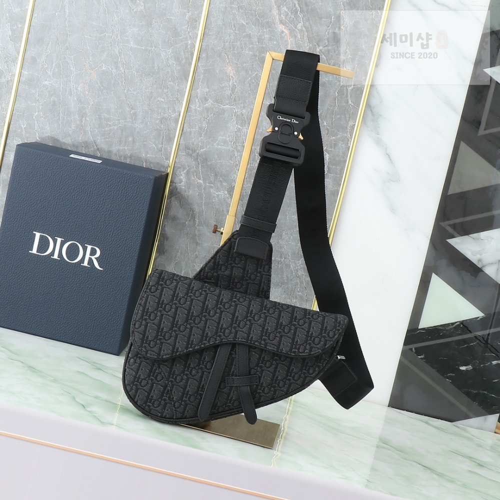 D I O R Saddle Bag Bag 8번 이미지