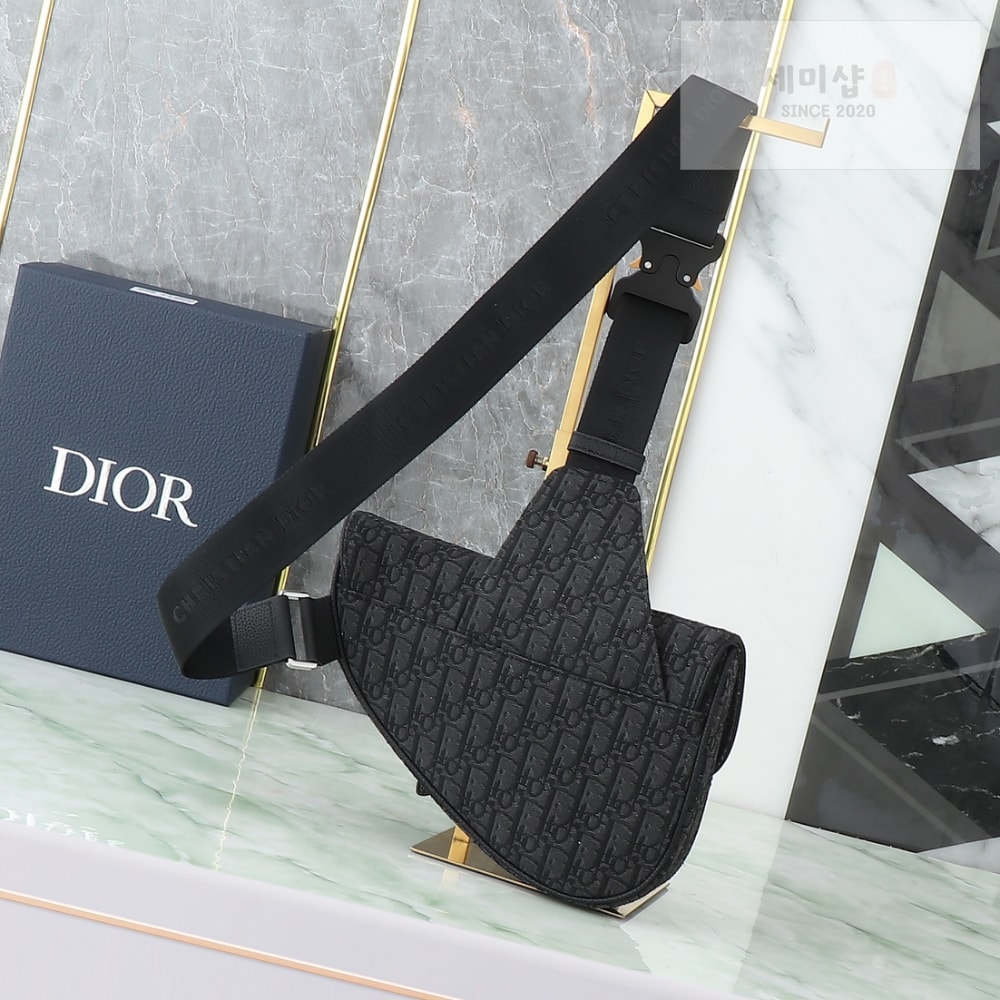 D I O R Saddle Bag Bag 1번 이미지