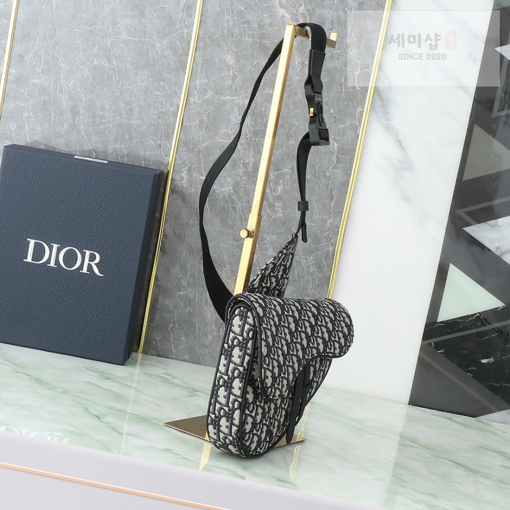 D I O R Saddle Bag Bag 3번 이미지