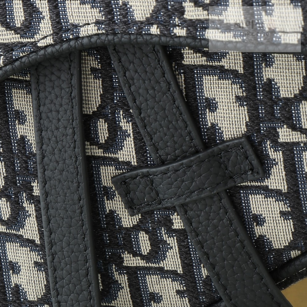 D I O R Saddle Bag Bag 6번 이미지