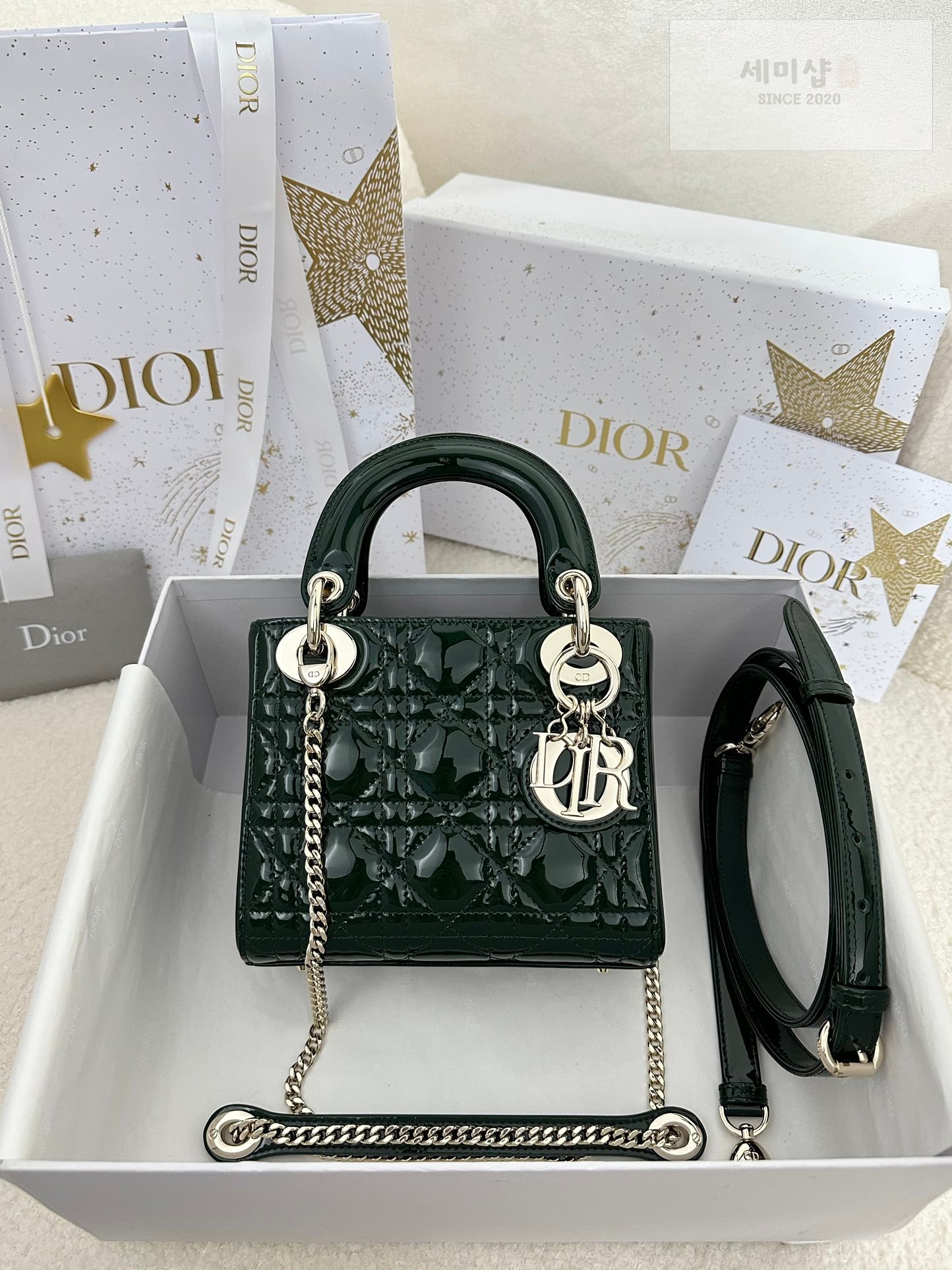 D I O R 디올 페이던트 미니 레이디백 피네 그린 Bag 1번 이미지