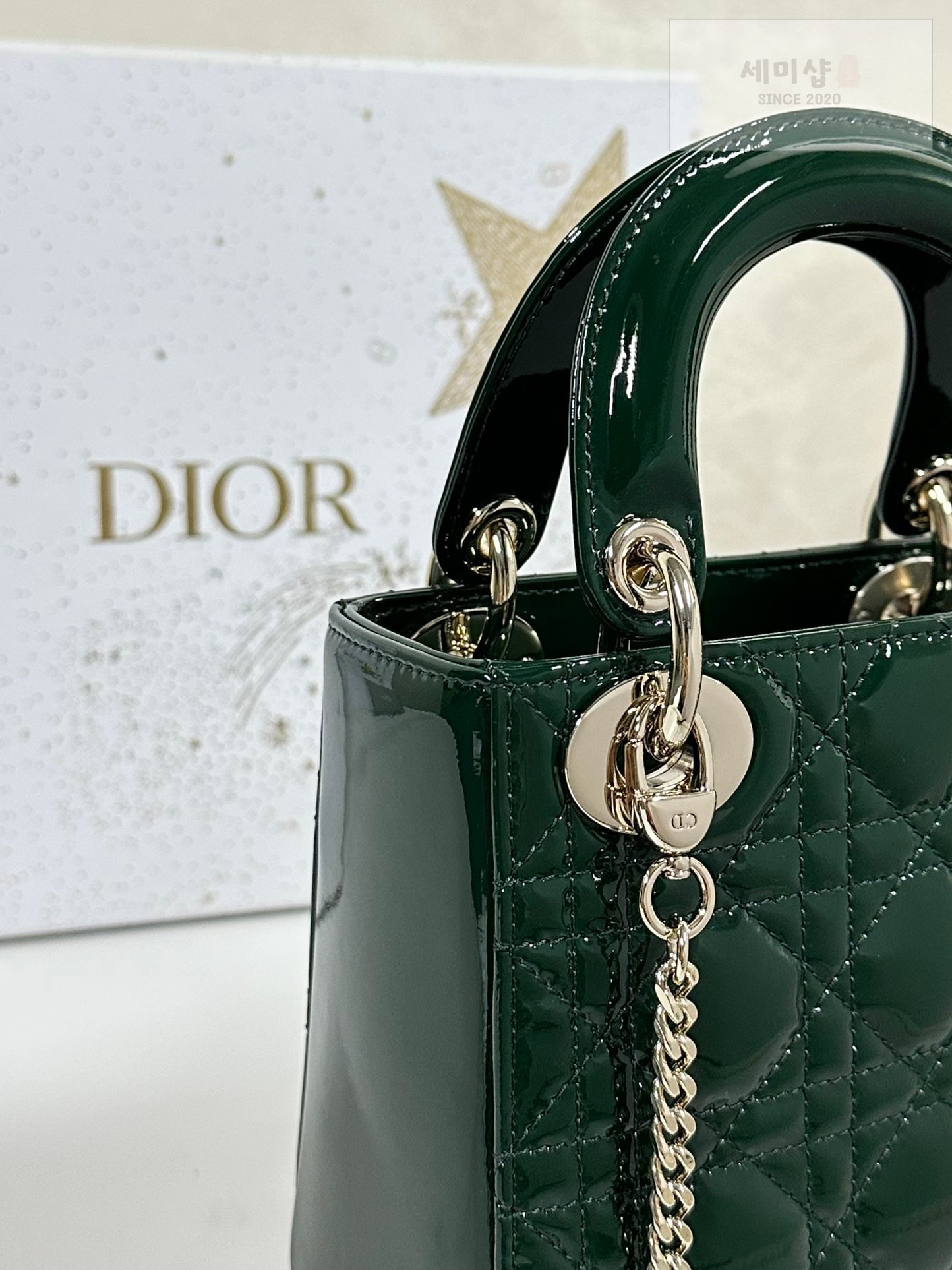 D I O R 디올 페이던트 미니 레이디백 피네 그린 Bag 5번 이미지