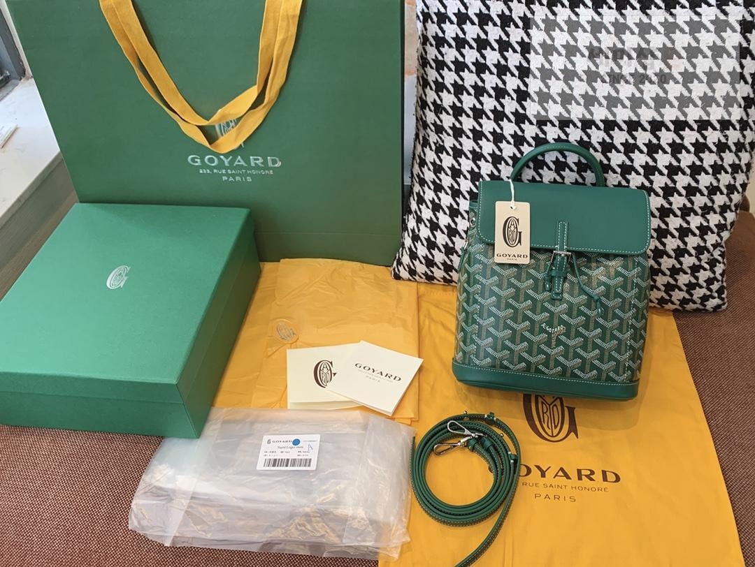 G O Y A R D Goyard Alpin Mini Bag 19번 이미지