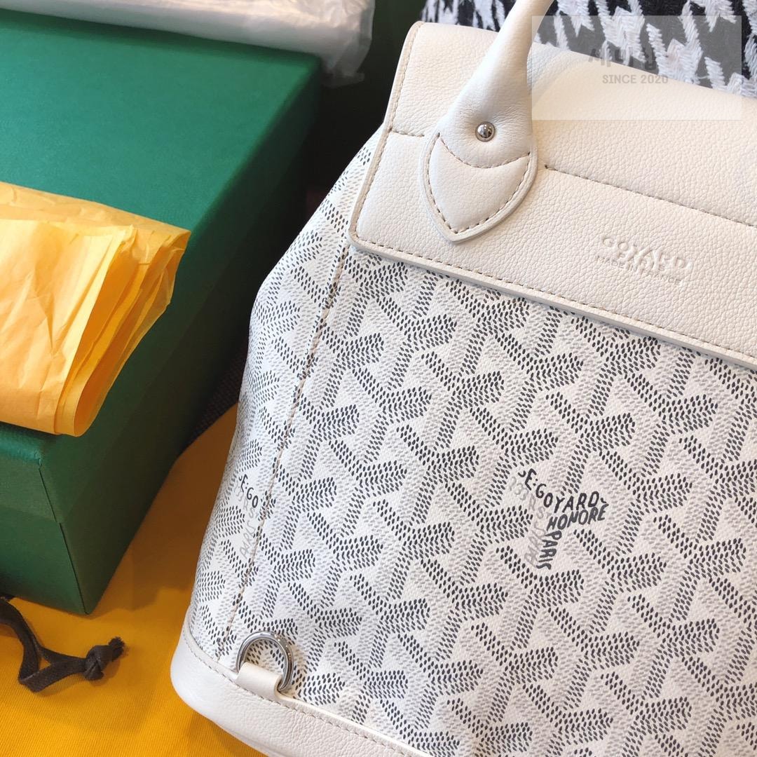 G O Y A R D Goyard Alpin Mini Bag 30번 이미지