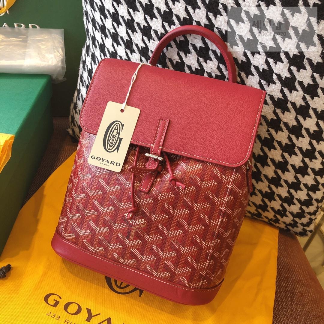 G O Y A R D Goyard Alpin Mini Bag 32번 이미지