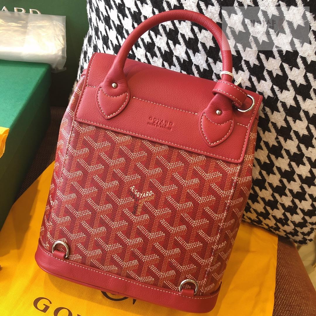 G O Y A R D Goyard Alpin Mini Bag 33번 이미지